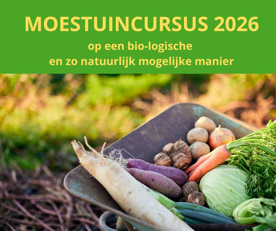 Moestuinieren op een natuurlijke manier